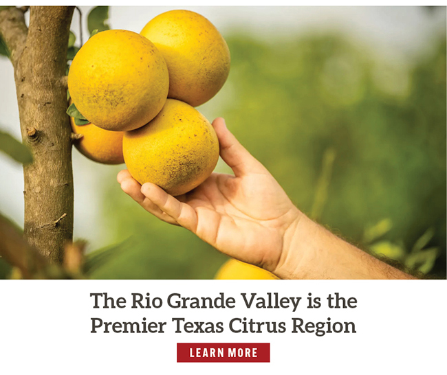 The Rio Grande Valley is the Premier Texas Citrus Region