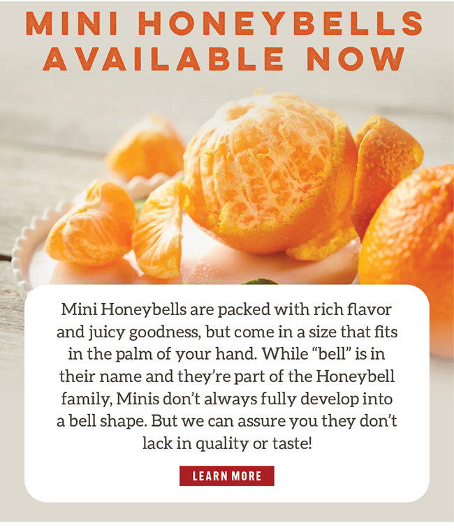 Mini Honeybells