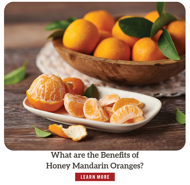 What are the Benefits of Honey Mandarin Oranges?