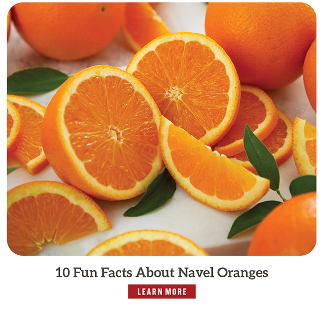 10 Fun Facts About Navel Oranges