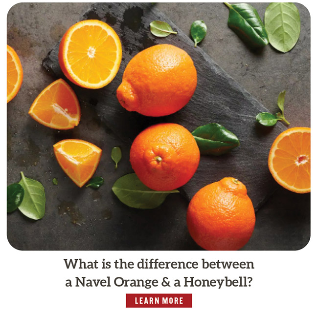 What is the difference between a Navel Orange & a Honeybell?