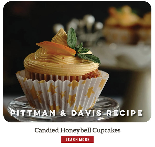 Candied Honeybell Cupcakes Recipe