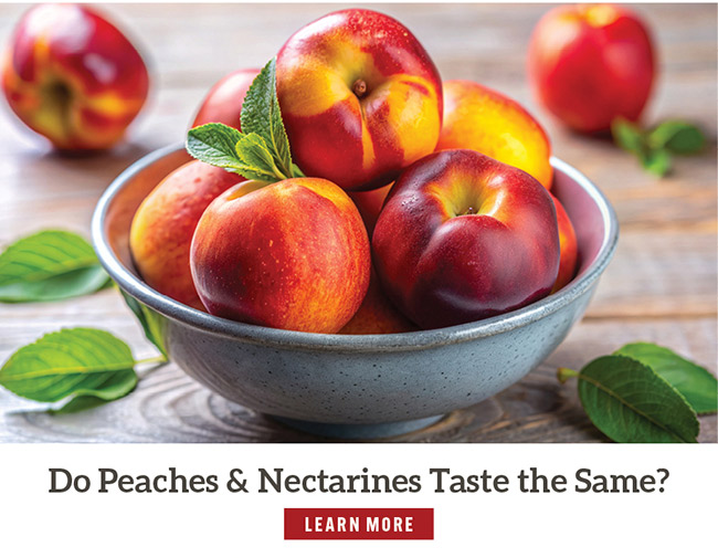 Do Peaches & Nectarines Taste the Same?