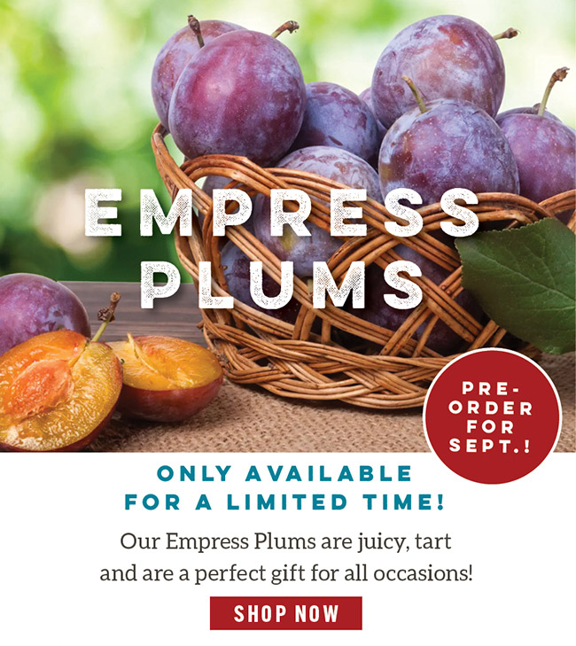 Empress Plums