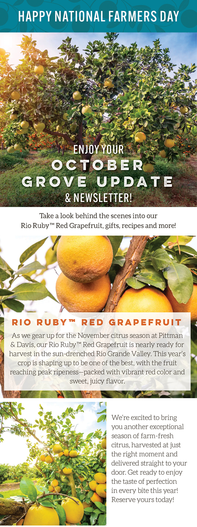 October 2024 Grove Update