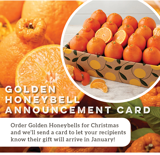 golden honeybells