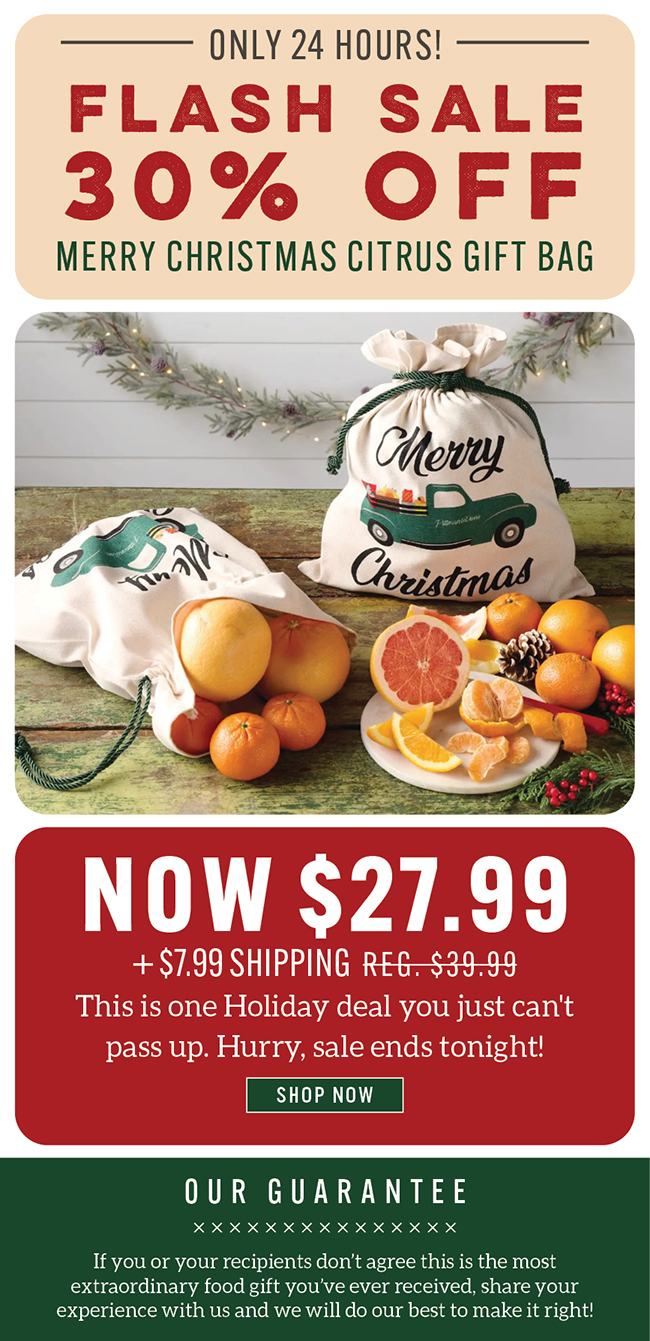 30% Off Merry Christmas Gift Bag